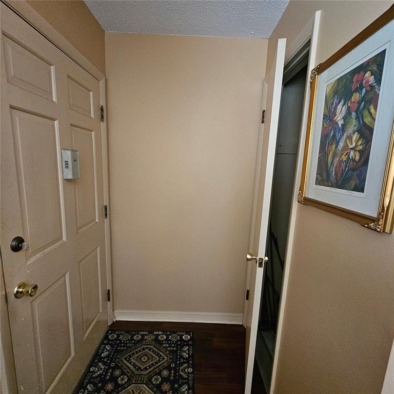 An entryway features a beige door, a patterned rug, and a framed floral wall art — 802 BRANDY WINE DRIVE, LARGO, FL