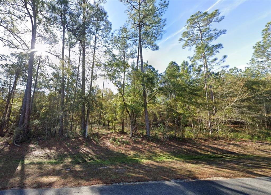 200 NW SCENIC LAKE DRIVE, LAKE CITY, FL — photo 2 of 5