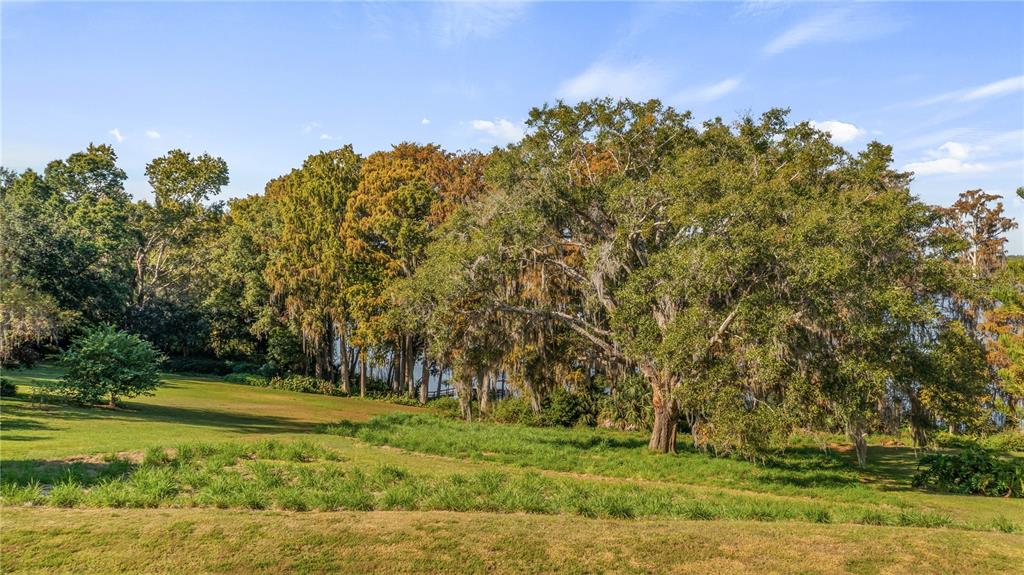 A grassy lawn leads to a line of mature trees near a body of water — LAKE SWATARA DRIVE, EUSTIS, FL