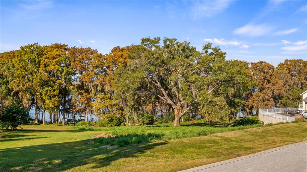 A grassy lawn slopes down toward a line of mature trees bordering a lake — LAKE SWATARA DRIVE, EUSTIS, FL
