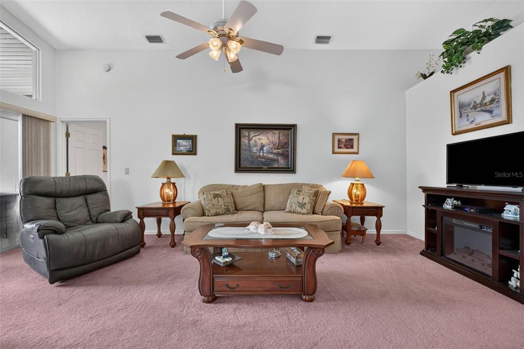 3503 DIAMOND TERRACE, MULBERRY, FL — photo 5 of 40