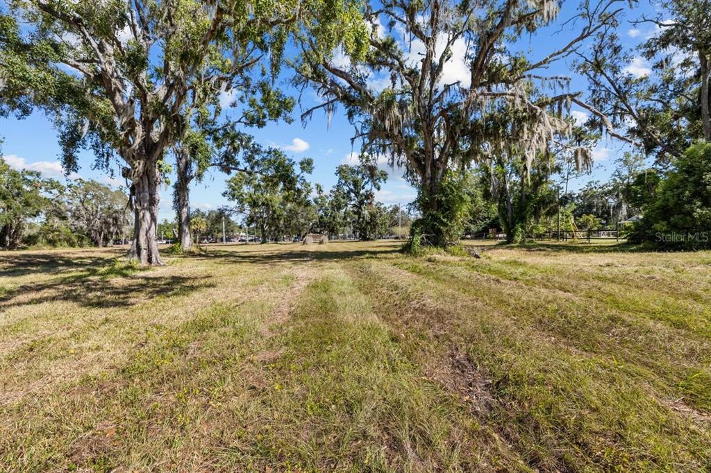 A grassy, open field is surrounded by large, moss-draped oak trees under a blue sky — 13414 N LINCOLN AVENUE, TAMPA, FL