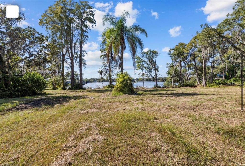 A grassy, open lot features several tall trees and a palm tree overlooking a lake — 13414 N LINCOLN AVENUE, TAMPA, FL
