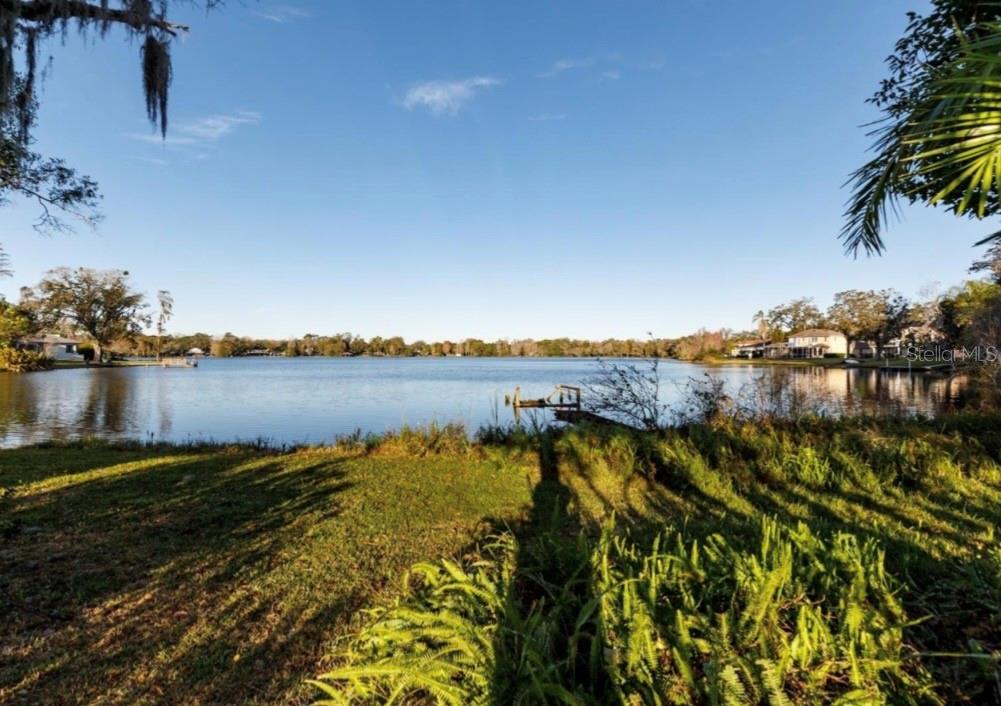 A grassy backyard leads to a lake with a small wooden dock under a blue sky — 13414 N LINCOLN AVENUE, TAMPA, FL