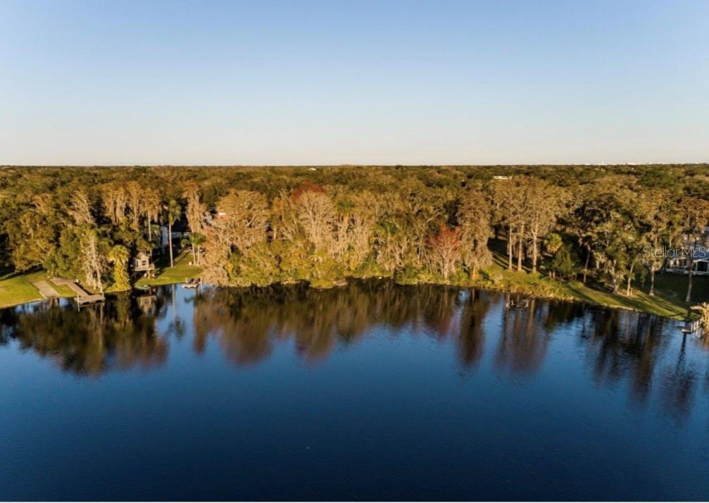 An aerial view of a lake bordered by a dense forest and residential properties — 13414 N LINCOLN AVENUE, TAMPA, FL