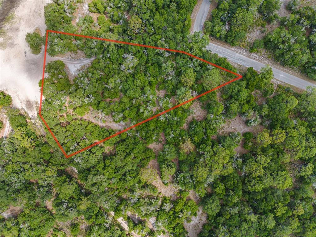 An aerial view shows a wooded lot outlined in red next to a paved road — 12180 W OLIVE TREE LANE, CRYSTAL RIVER, FL
