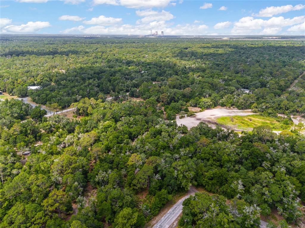 An aerial view shows a wooded landscape with a dirt road and a cleared lot — 12180 W OLIVE TREE LANE, CRYSTAL RIVER, FL