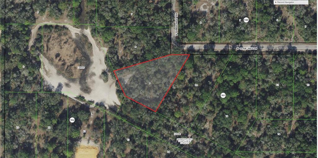 This is a satellite map view showing a highlighted vacant lot in a wooded area — 12180 W OLIVE TREE LANE, CRYSTAL RIVER, FL