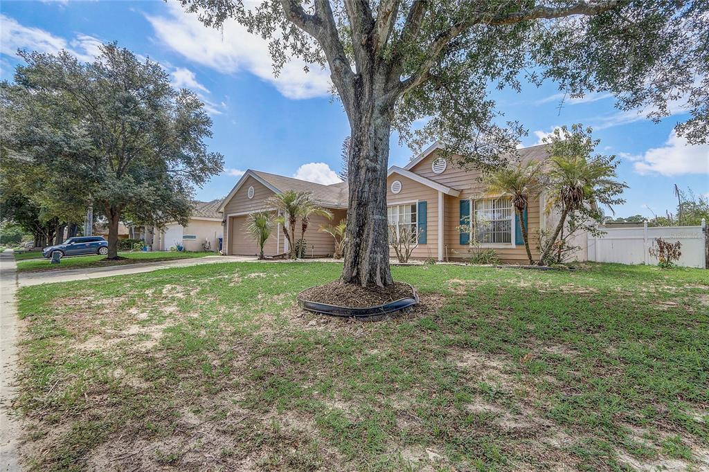 A single-story house with tan siding and a large tree in the front yard — 2191 ALCLOBE CIRCLE, OCOEE, FL