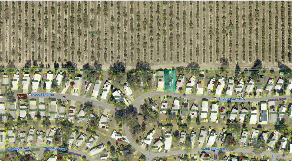 12 SADDLEBAG TRAIL N, LAKE WALES, FL — photo 3 of 30