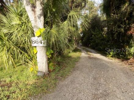 A gravel driveway leads into a wooded area with a house number sign on a tree — BAY BLVD, PORT RICHEY, FL