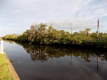 A view of a narrow canal bordered by dense green trees and vegetation — BAY BLVD, PORT RICHEY, FL