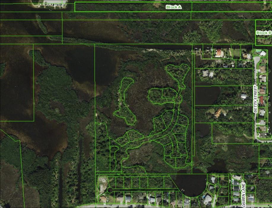 This is an aerial map showing land parcels and street layouts in a wooded area — BAY BLVD, PORT RICHEY, FL