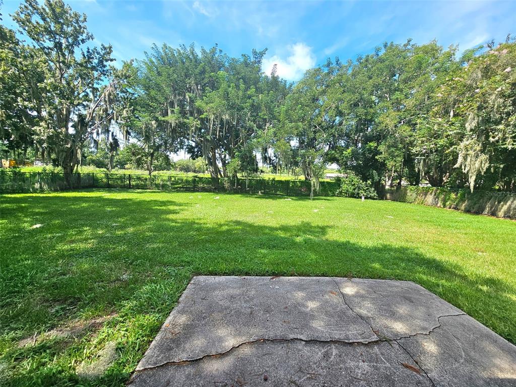 A large, grassy backyard features a cracked concrete patio in the foreground and mature trees — 1292 E LAKE SHORE BOULEVARD, KISSIMMEE, FL