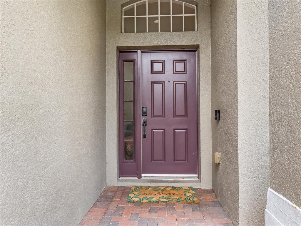 A purple front door with a side window and a dog looking out is visible — 9996 PORTOFINO DRIVE, ORLANDO, FL
