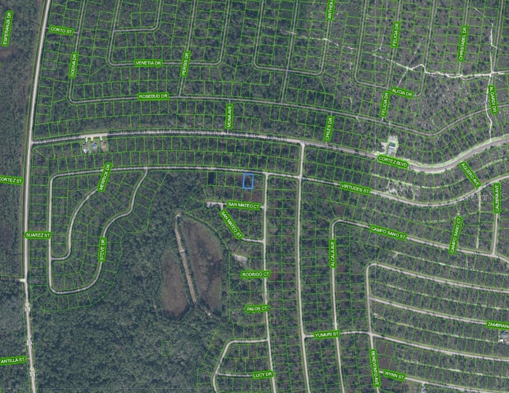 This is an aerial map showing a vacant lot highlighted in blue within a wooded area — 7009 VIRTUDES STREET, SEBRING, FL