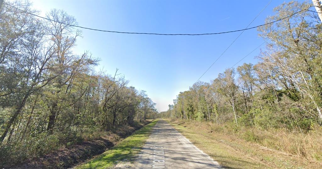 A dirt road stretches through a wooded area under a clear blue sky — 4720 JONATHAN STREET, HASTINGS, FL