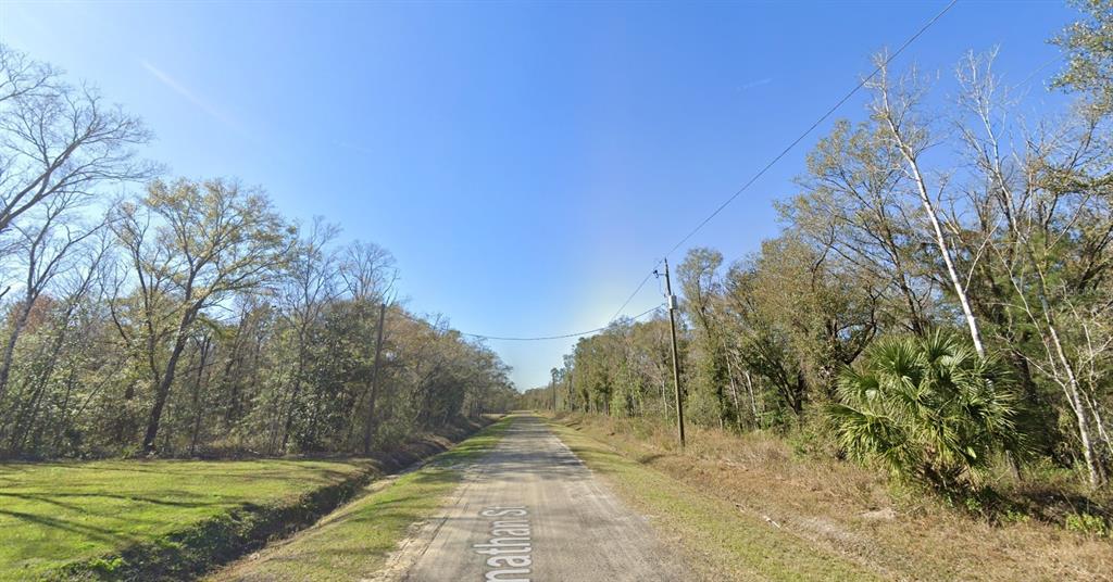 A dirt road stretches through a wooded area under a clear blue sky — 4720 JONATHAN STREET, HASTINGS, FL