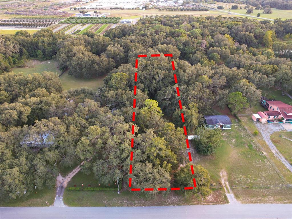 An aerial view shows a wooded, rectangular lot outlined in red along a paved road — TENNESSEE AVENUE, ASTATULA, FL
