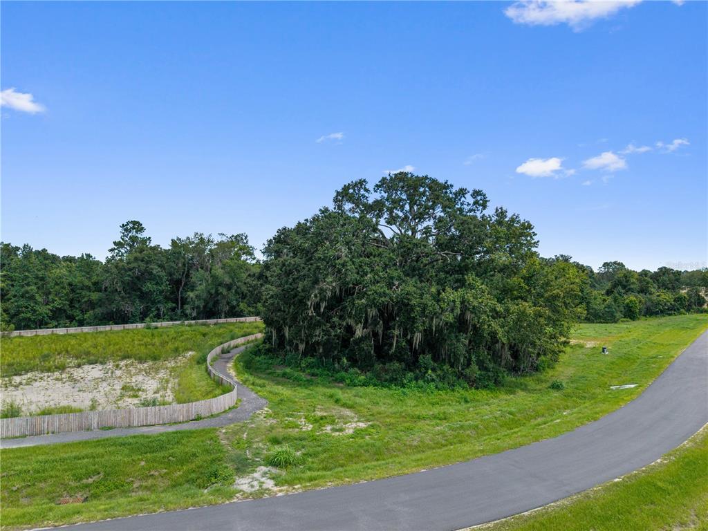 Lot 11 NW 98TH DRIVE, ALACHUA, FL — photo 5 of 10