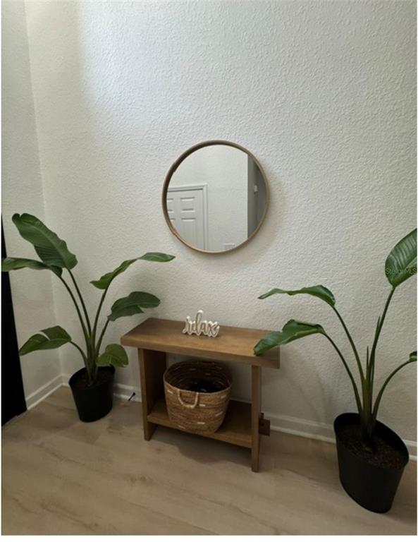 A wooden console table sits between two potted plants under a round wall mirror — 16320 PARKSTONE PALMS COURT, TAMPA, FL