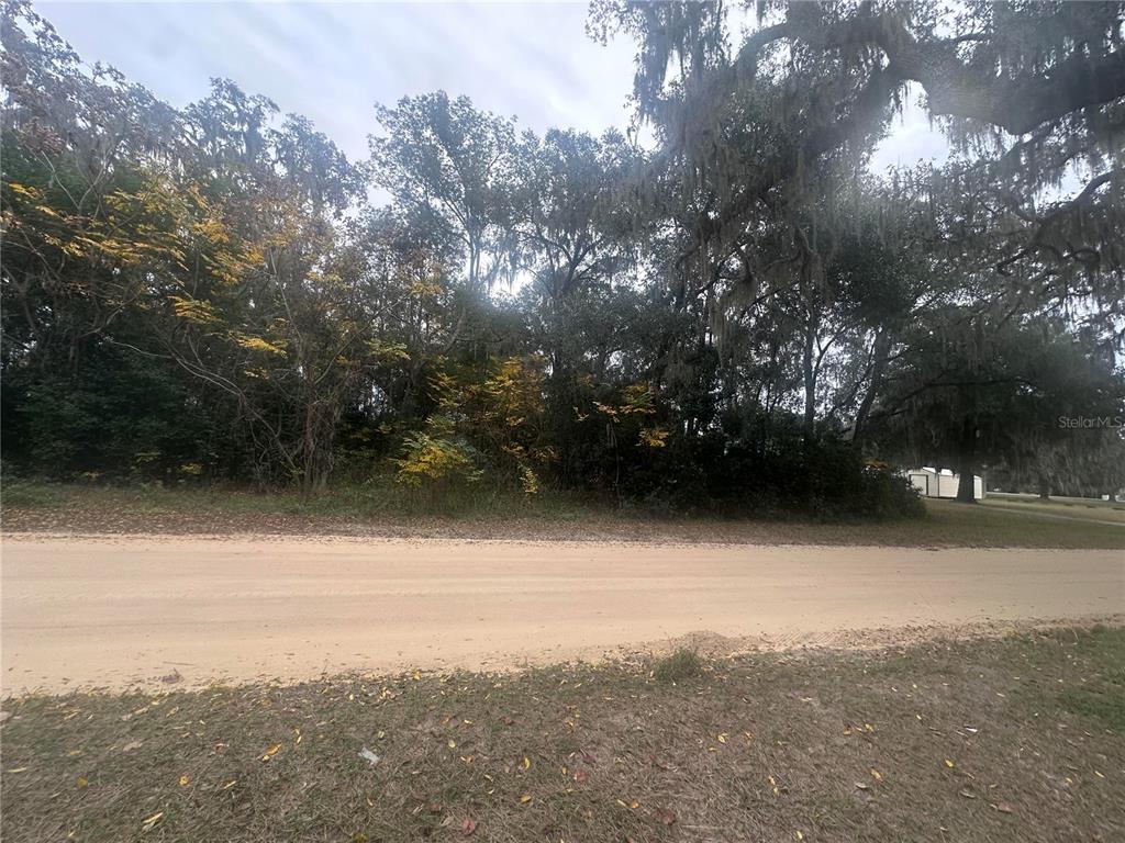 A dirt road runs in front of a wooded lot with mature trees — SR-19, ALTOONA, FL