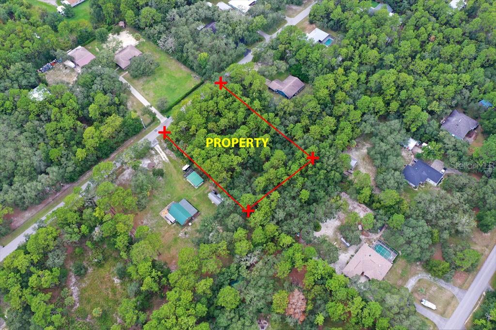 2659 S BOLTON AVENUE, HOMOSASSA, FL — photo 4 of 10
