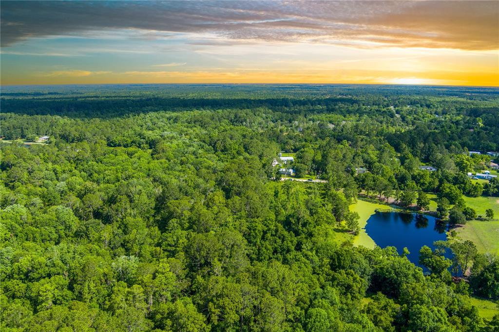 An aerial view shows a dense forest, a small pond, and scattered houses at sunset — 3201 E RAULERSON ROAD, ST AUGUSTINE, FL