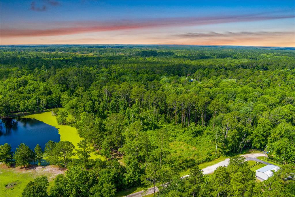 An aerial view shows a pond, dense forest, and a small building with a driveway — 3201 E RAULERSON ROAD, ST AUGUSTINE, FL