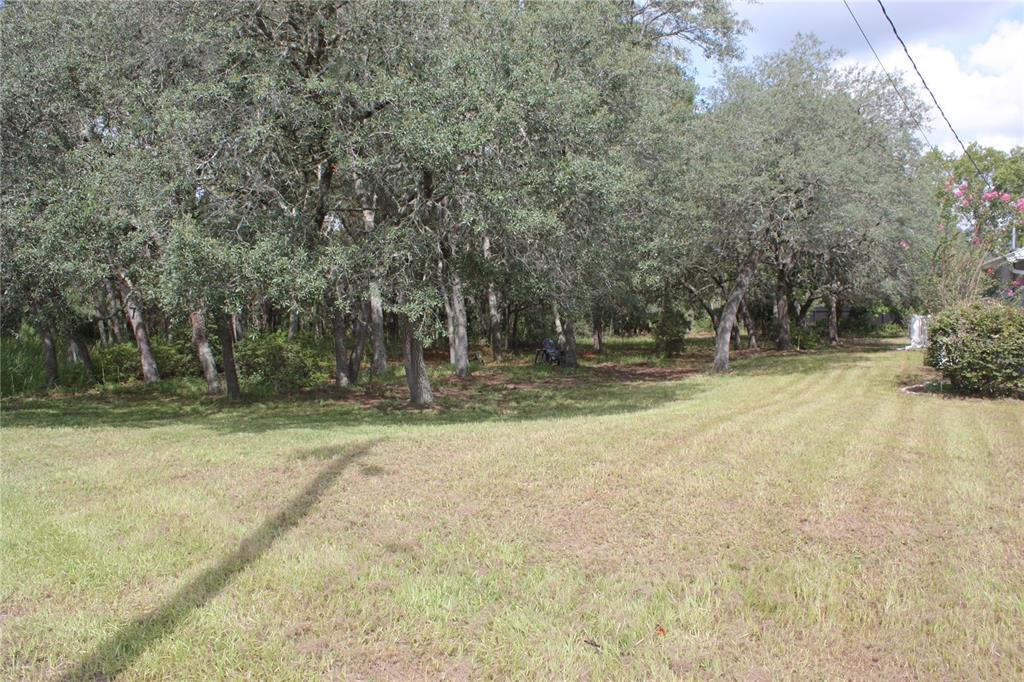 1923 W MCNEAL DRIVE, CITRUS SPRINGS, FL — photo 3 of 27