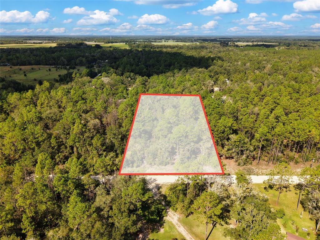 6339 NW 17TH COURT, BELL, FL — photo 2 of 28