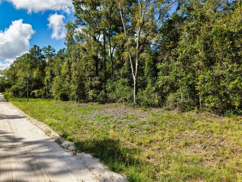 6339 NW 17TH COURT, BELL, FL — photo 5 of 28