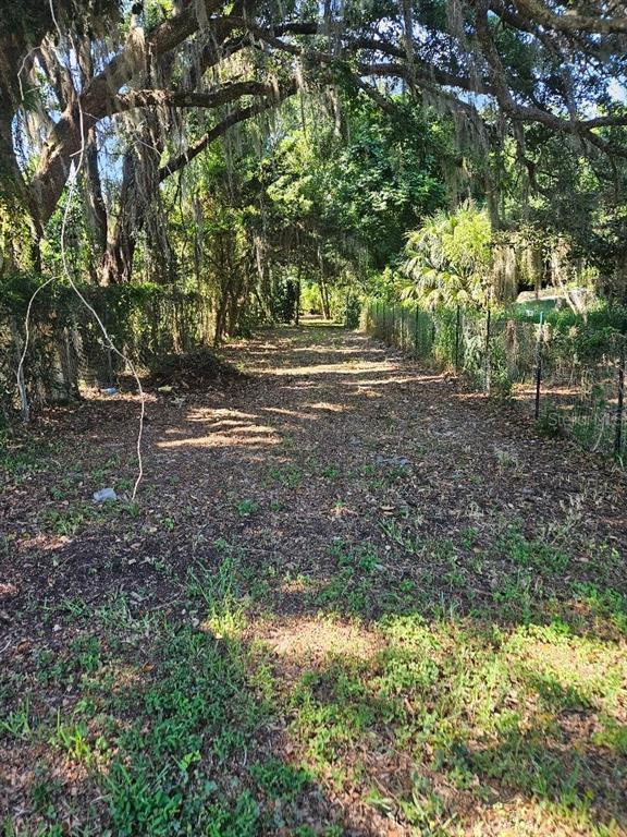 A narrow, tree-lined dirt path stretches between two chain-link fences on a wooded lot — PRIVATE DRIVE, TAVARES, FL