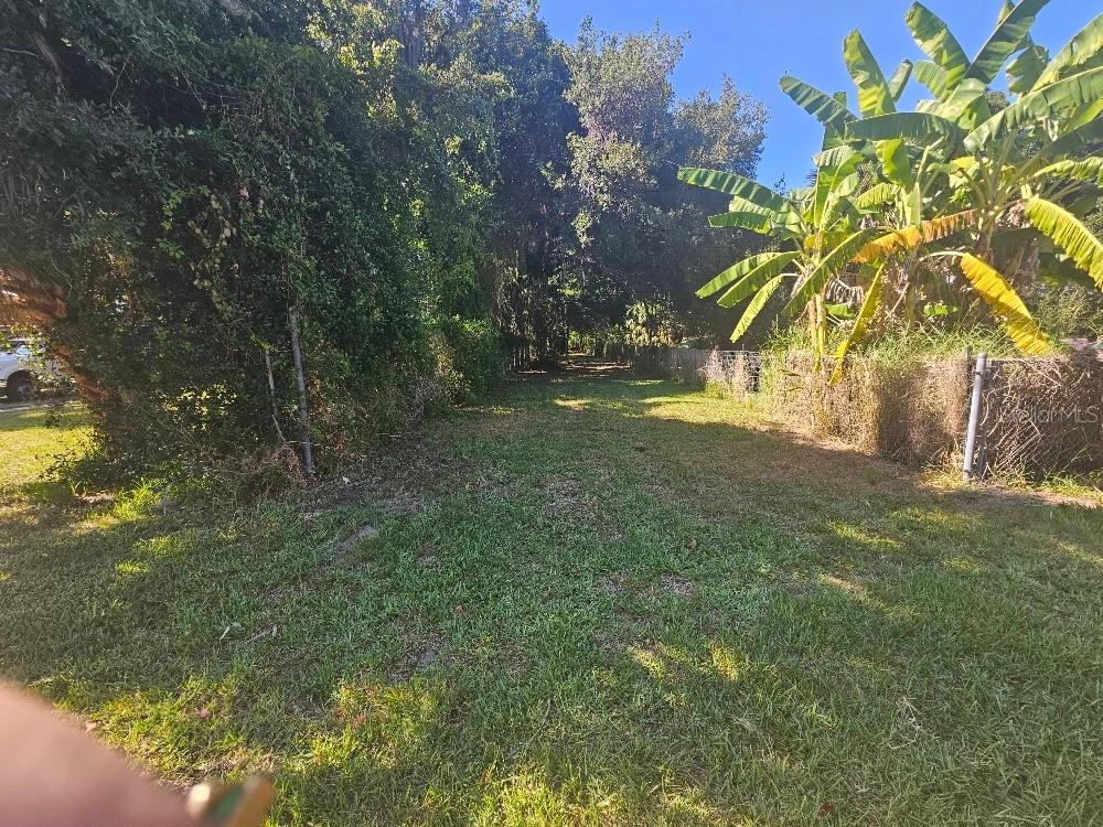 A grassy, narrow lot is bordered by a chain-link fence and dense trees — PRIVATE DRIVE, TAVARES, FL