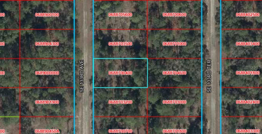 This is a satellite map showing property parcel boundaries and lot numbers in a wooded area — 43 SE 133RD AVENUE, DUNNELLON, FL