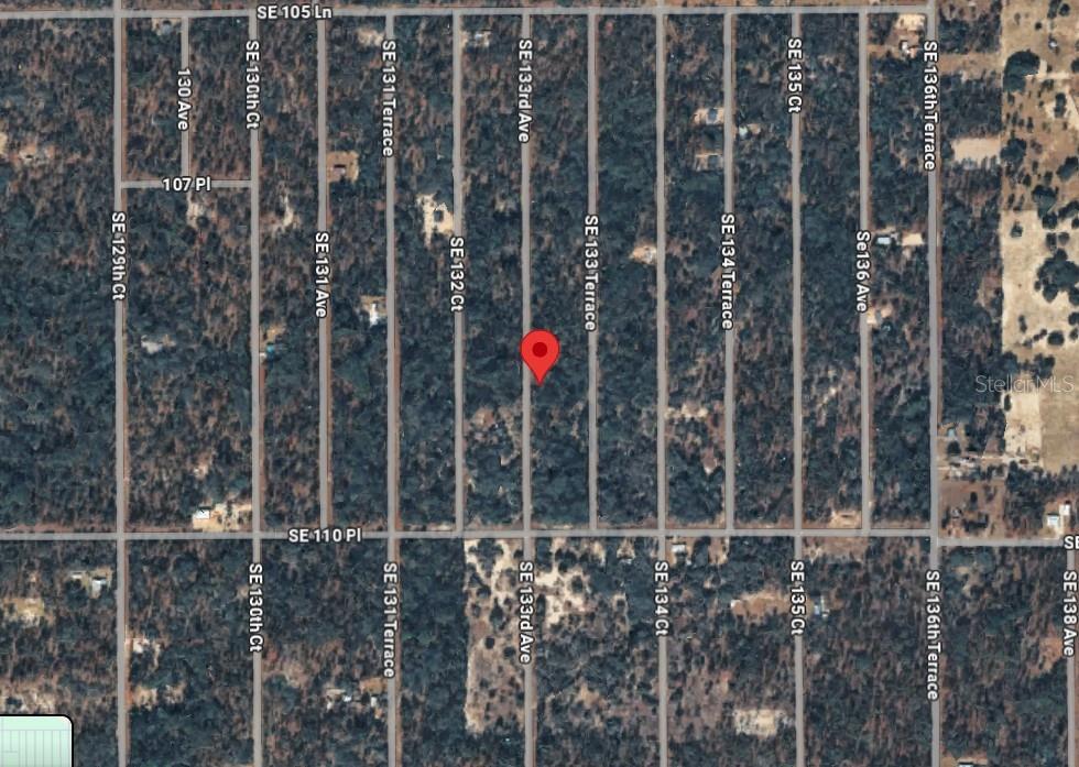 This is an aerial map showing a wooded residential lot marked with a red pin — 43 SE 133RD AVENUE, DUNNELLON, FL