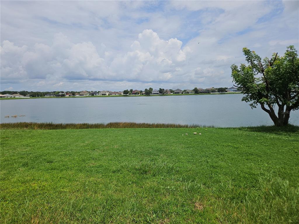 A grassy lawn overlooks a large lake with houses visible on the distant shore — 31123 MASENA DRIVE, WESLEY CHAPEL, FL