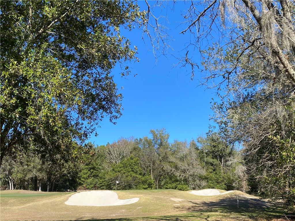 3834 W Black Diamond CIRCLE, LECANTO, FL — photo 3 of 20