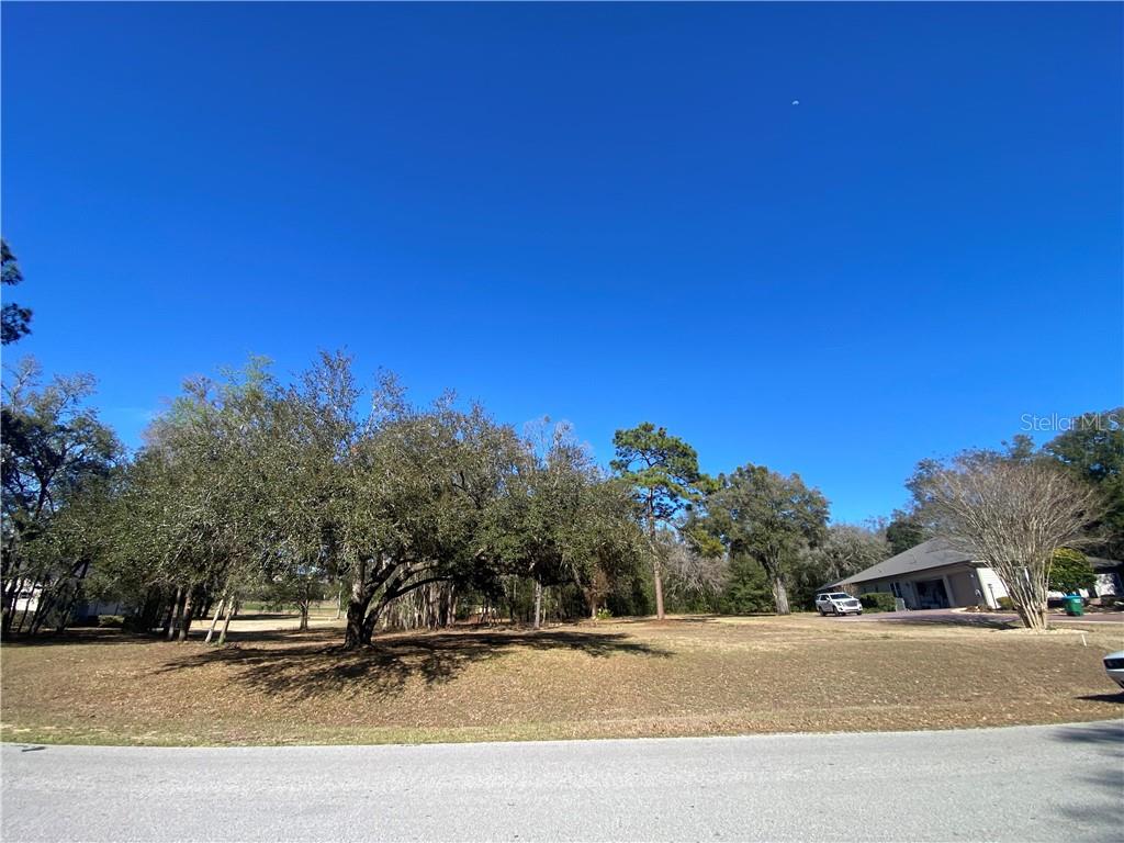 3834 W Black Diamond CIRCLE, LECANTO, FL — photo 4 of 20