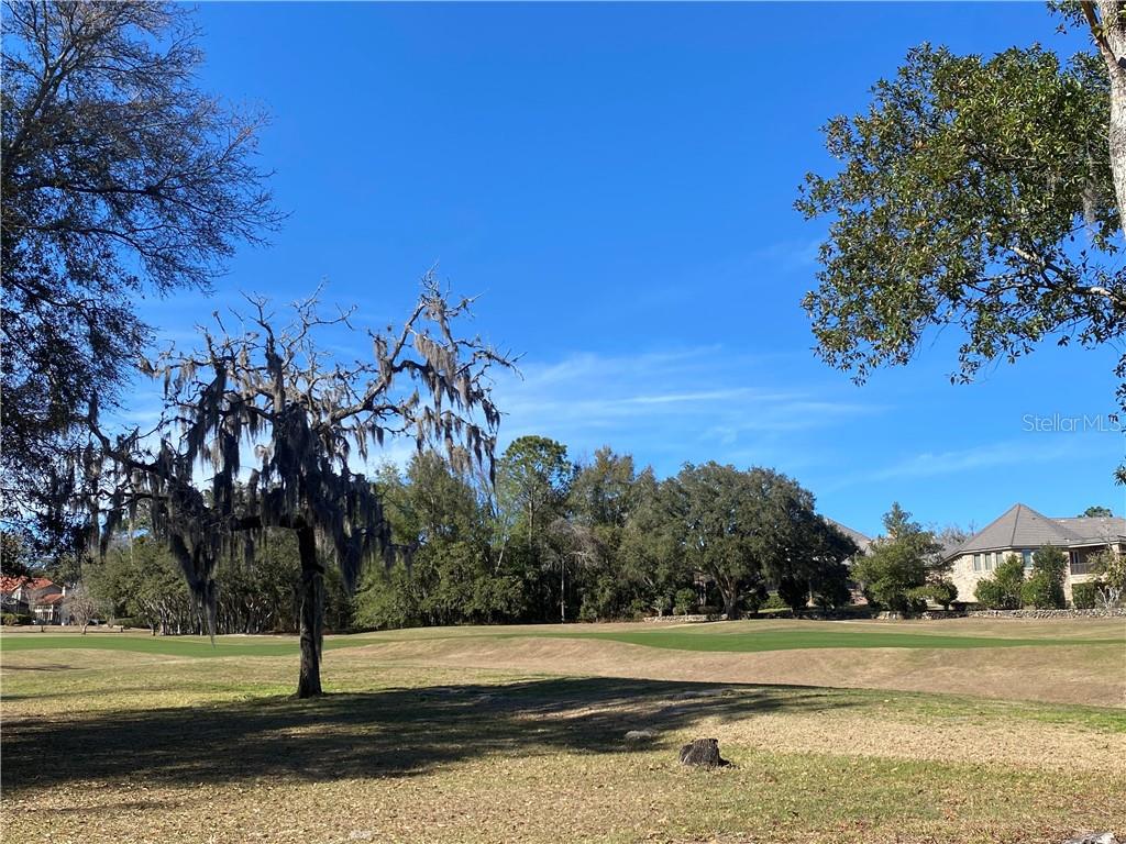 3834 W Black Diamond CIRCLE, LECANTO, FL — photo 5 of 20