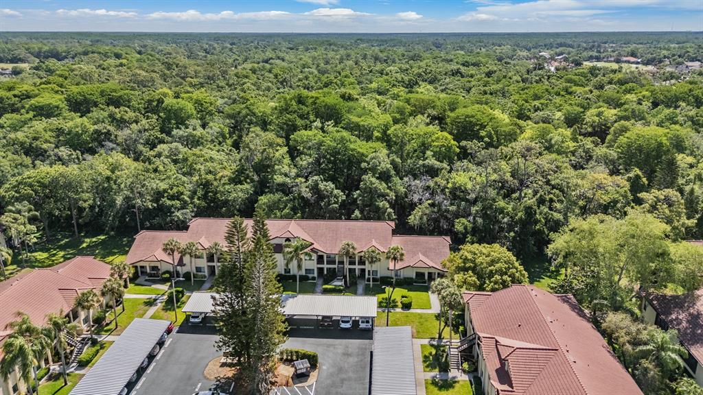 An aerial view shows apartment buildings with brown tile roofs and adjacent covered parking spaces — 1801 E LAKE ROAD UNIT 6J, PALM HARBOR, FL