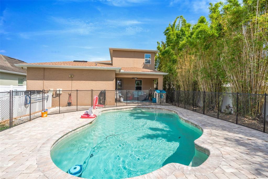 A backyard features a swimming pool with a paver deck, safety fence, and bamboo landscaping — 32630 COLDWATER CREEK LOOP, WESLEY CHAPEL, FL