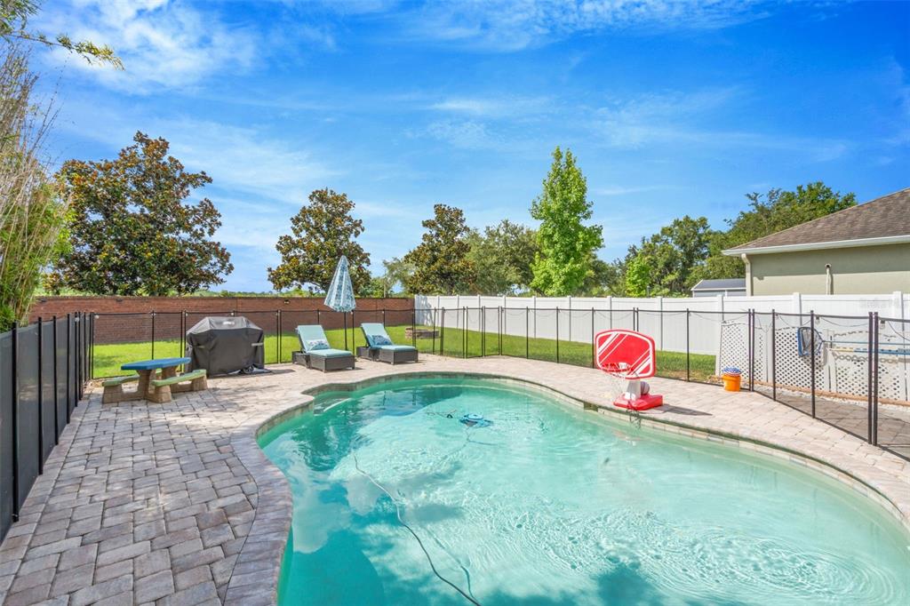 A backyard features a swimming pool with a basketball hoop, patio furniture, and perimeter fencing — 32630 COLDWATER CREEK LOOP, WESLEY CHAPEL, FL