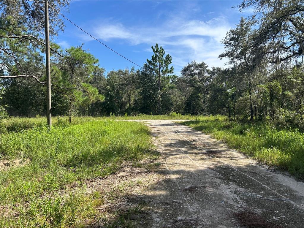A dirt road leads through a grassy, wooded lot under a clear blue sky — 1631 NE 123RD TERRACE, WILLISTON, FL