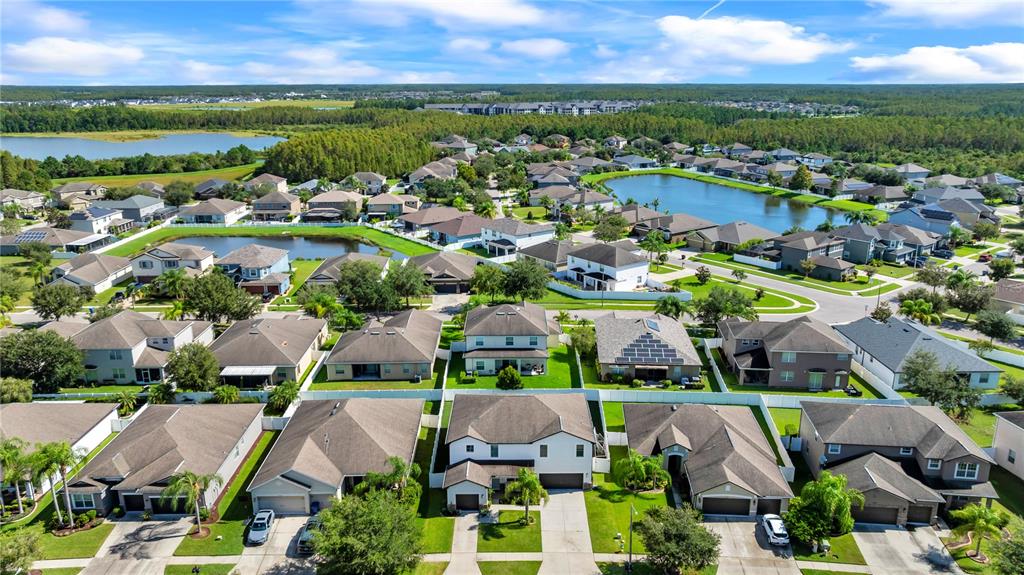 18617 MILTON KEYNES COURT, LAND O LAKES, FL — photo 4 of 30
