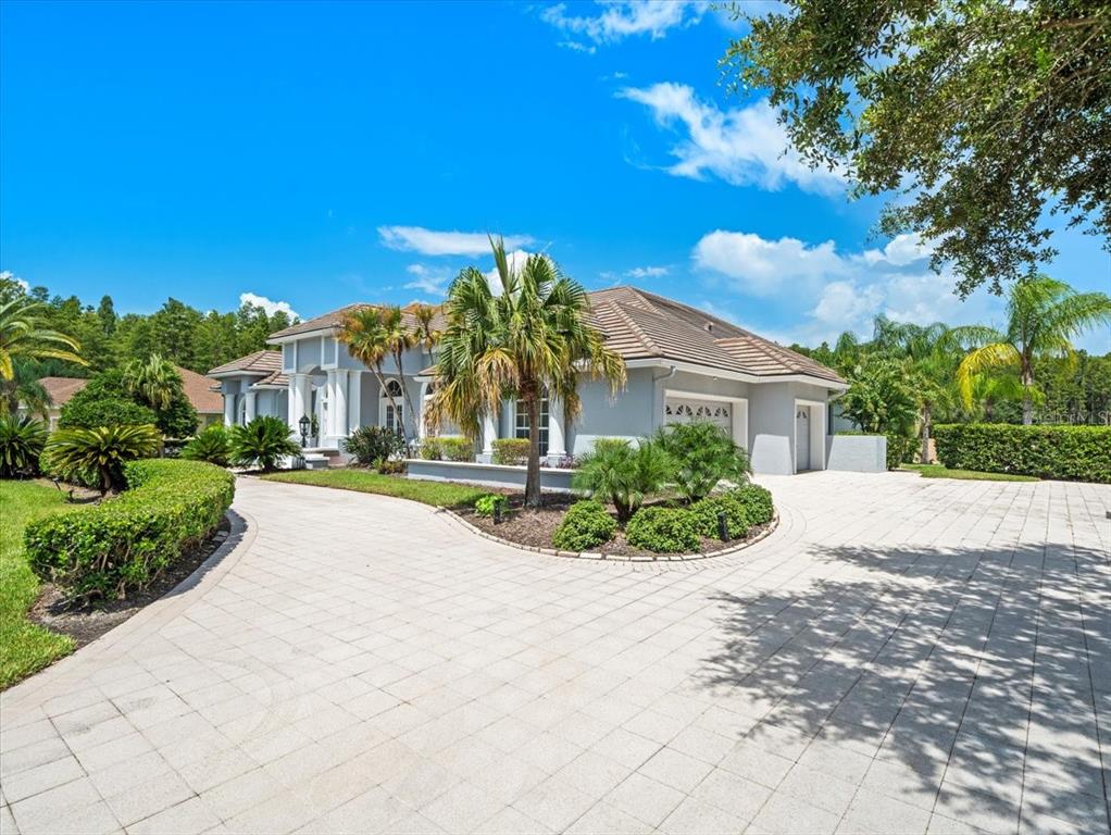 A single-story house with a paved driveway, palm trees, and a tiled roof — 4529 CHEVAL BOULEVARD, LUTZ, FL