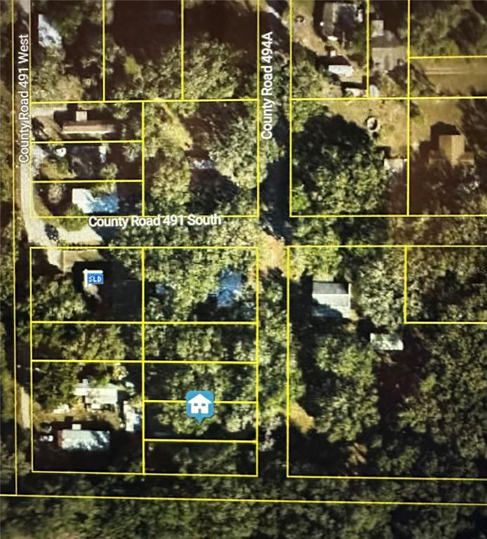 This is an aerial map showing property boundaries and roads in a wooded residential area — LOT #5, LAKE PANASOFFKEE, FL