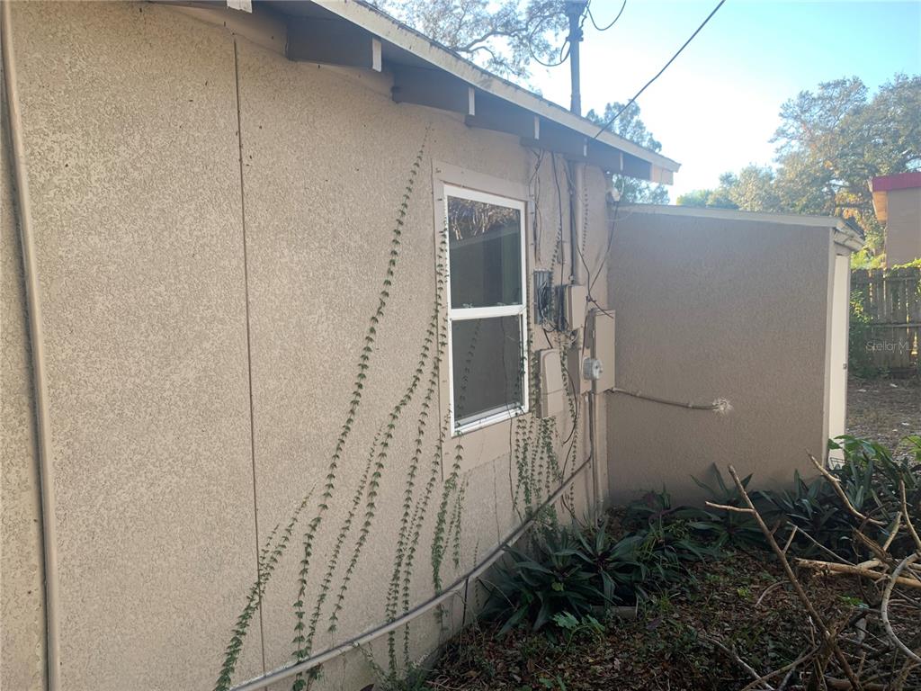 The exterior side of a house features stucco walls, a window, and climbing vines — 1880 SYLVAN DRIVE, CLEARWATER, FL