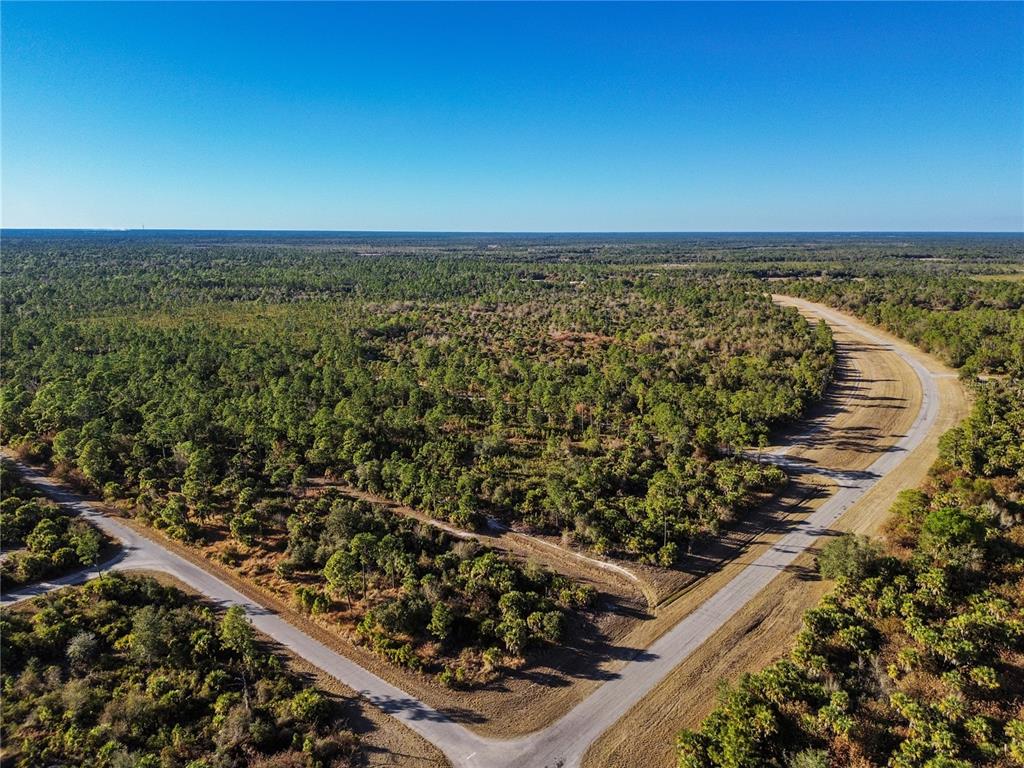 An aerial view shows a paved road curving through a dense, wooded landscape — SILVERLEAF ROAD, NORTH PORT, FL