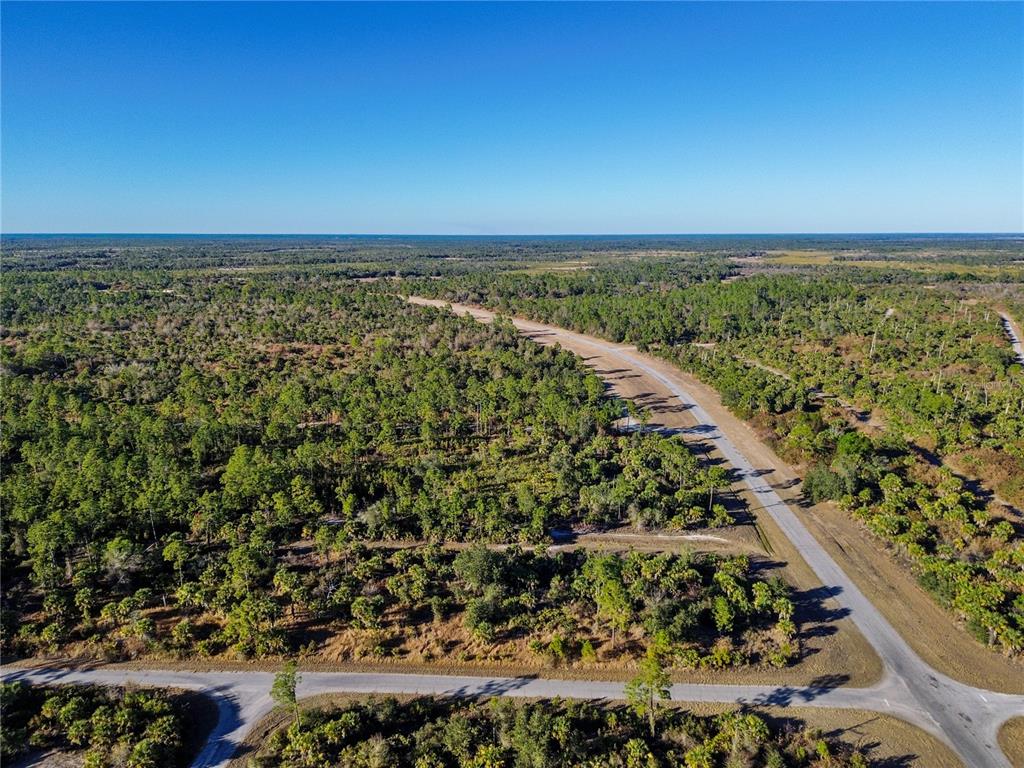 An aerial view shows a paved road curving through a wooded, undeveloped landscape — SILVERLEAF ROAD, NORTH PORT, FL